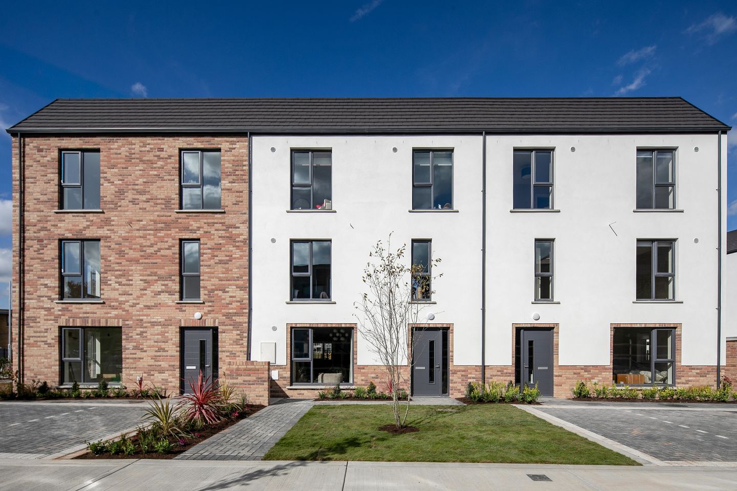 Cornflower, Avenlea, Avenlea, Adamstown, Co. Dublin