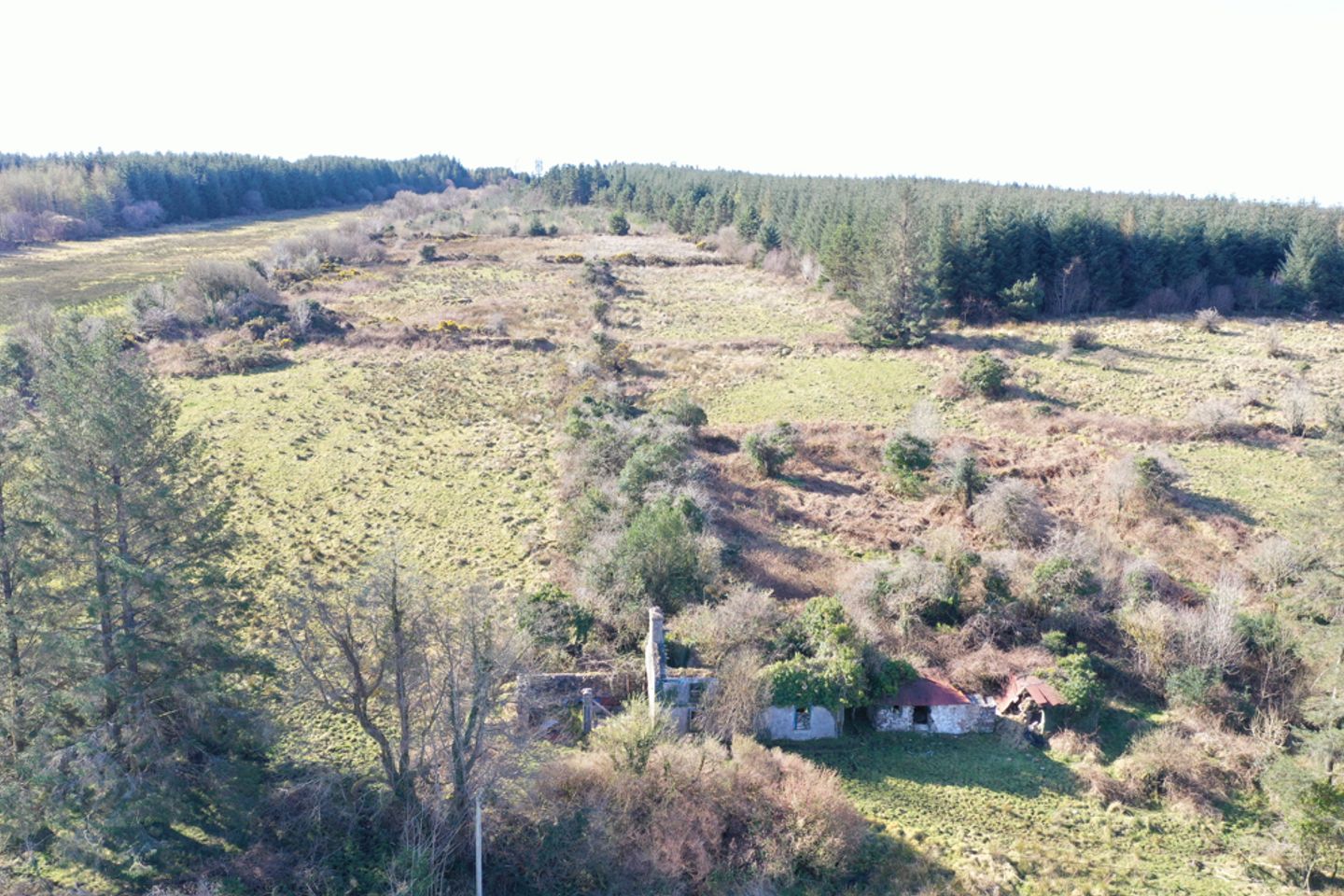 Fauleens, Ballaghaderreen, Mayo, Co. Mayo