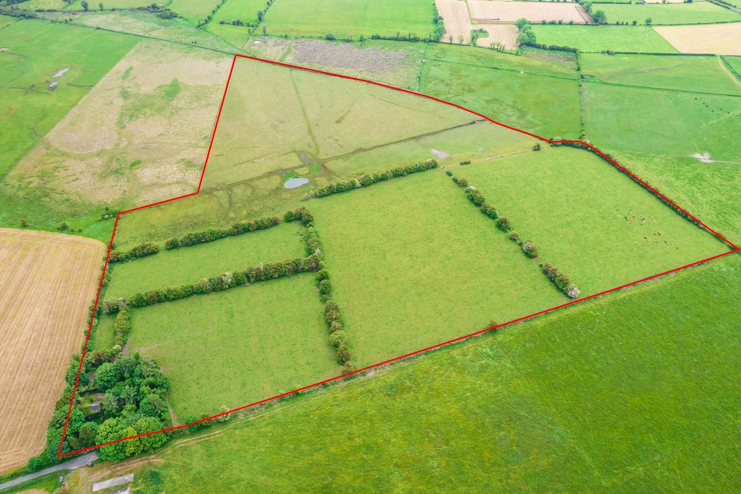 Commercial property for sale in Kilmore, Co.