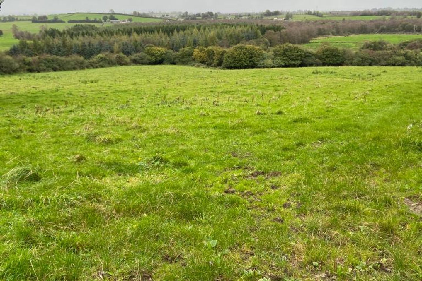 Commercial property for sale in Corduff, Ballinagh, Co. Cavan