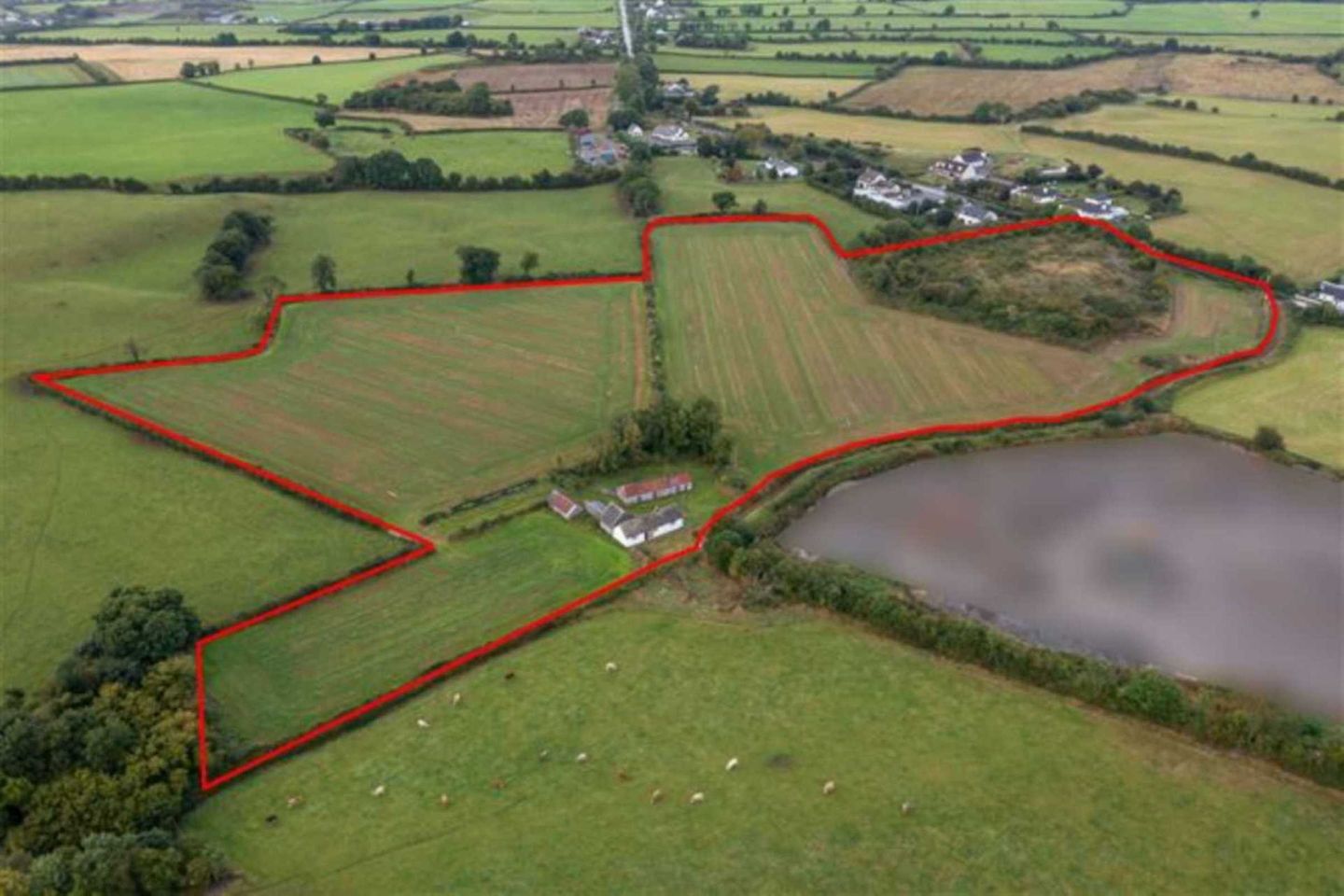 Glasshouse, Blueball, Tullamore, Co. Offaly, R35W897 is for sale on Daft.ie