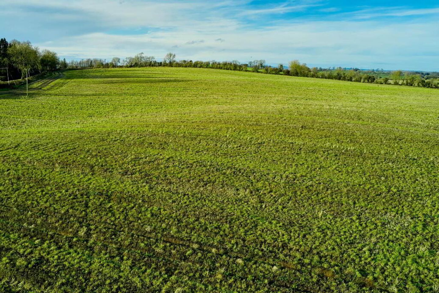 Butlerstown, Castletown, Co. Meath