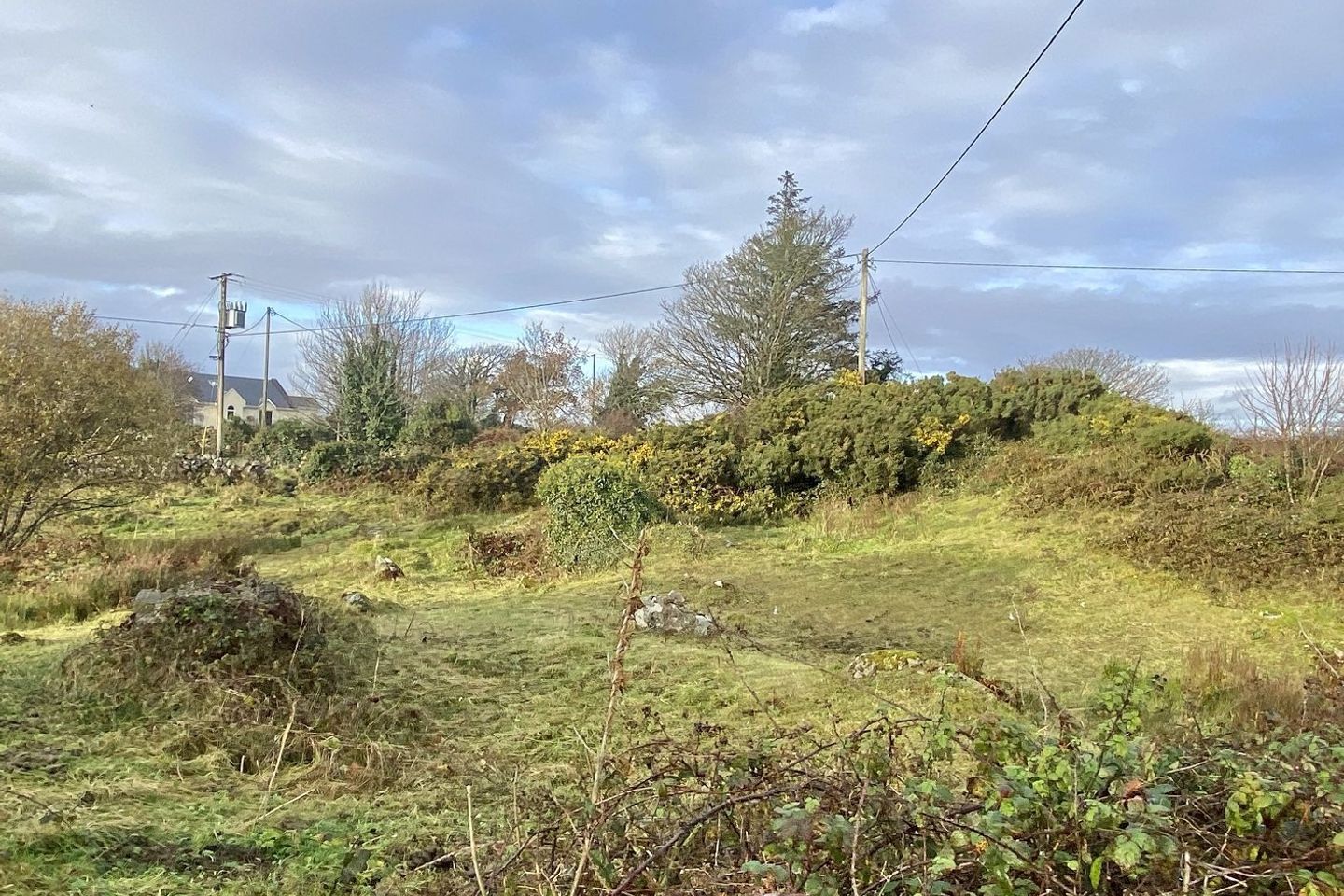 Derrynea, Costelloe, Casla, Co. Galway
