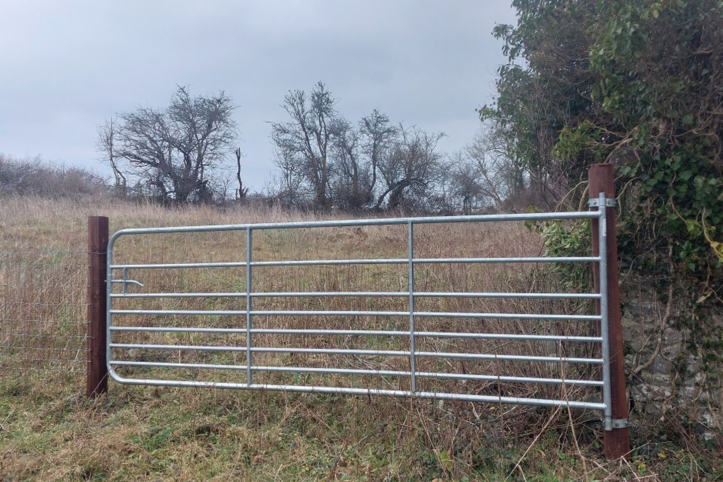 Cornamagh, Athlone, Co. Westmeath