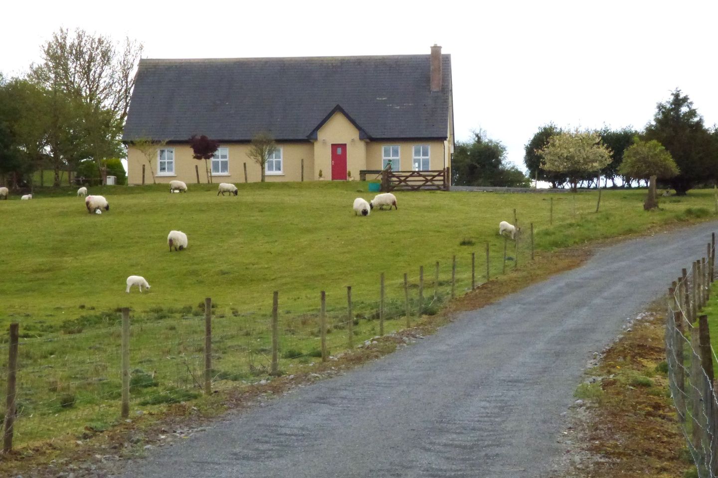 Falleighter, Kilkelly, Co. Mayo is for sale on Daft.ie