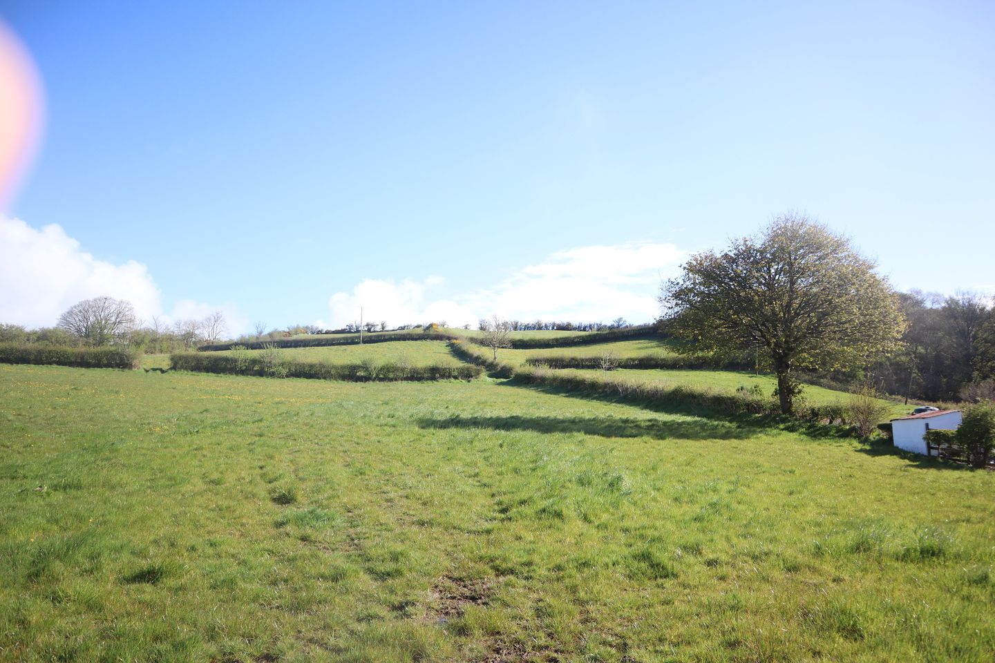 Commercial property for rent in Crossalare, Laragh, Co. Monaghan