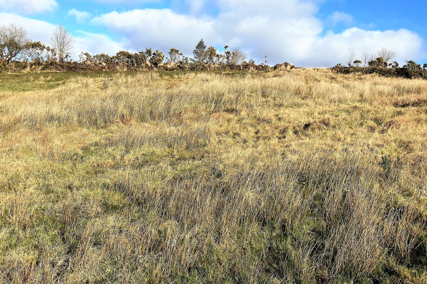 Commercial property for sale in Cashel, Glenisland, Glenisland, Co. Mayo