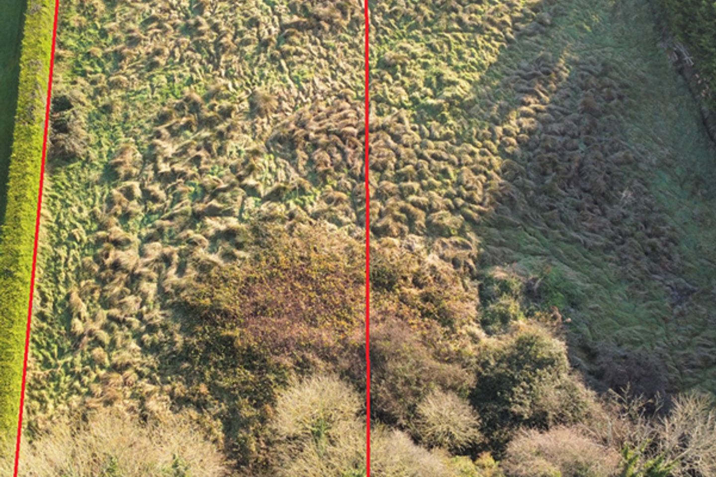 Castleroberts, Adare, Co. Limerick is for sale on Daft.ie