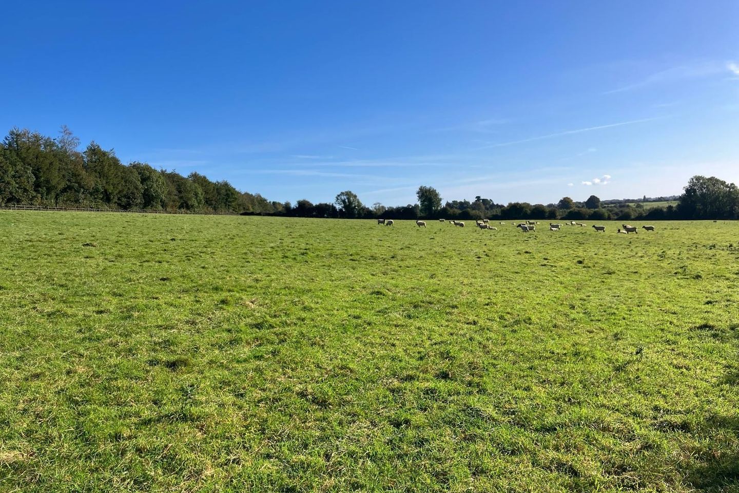 Farnagh, Moate, Co. Westmeath