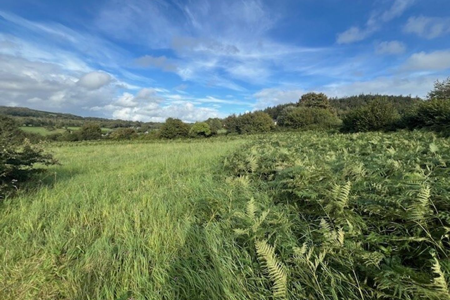 Glenbower, Coolbawn, Nenagh, Co. Tipperary