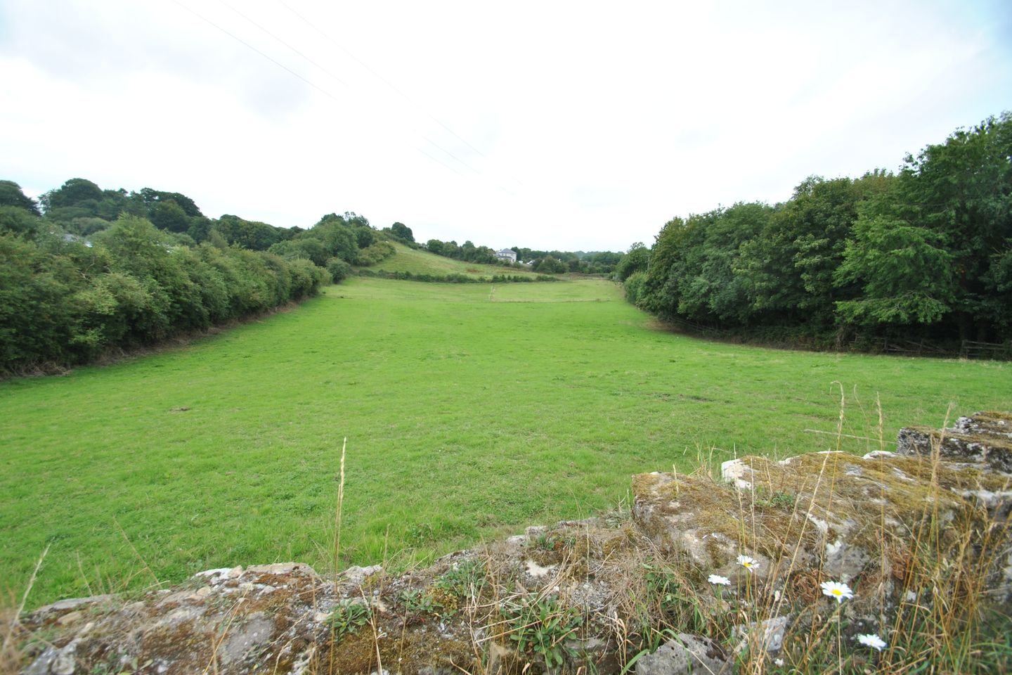 Approx. 5.93 Acres/2.39 Hectares, Corville, Roscrea, Co Tipperary
