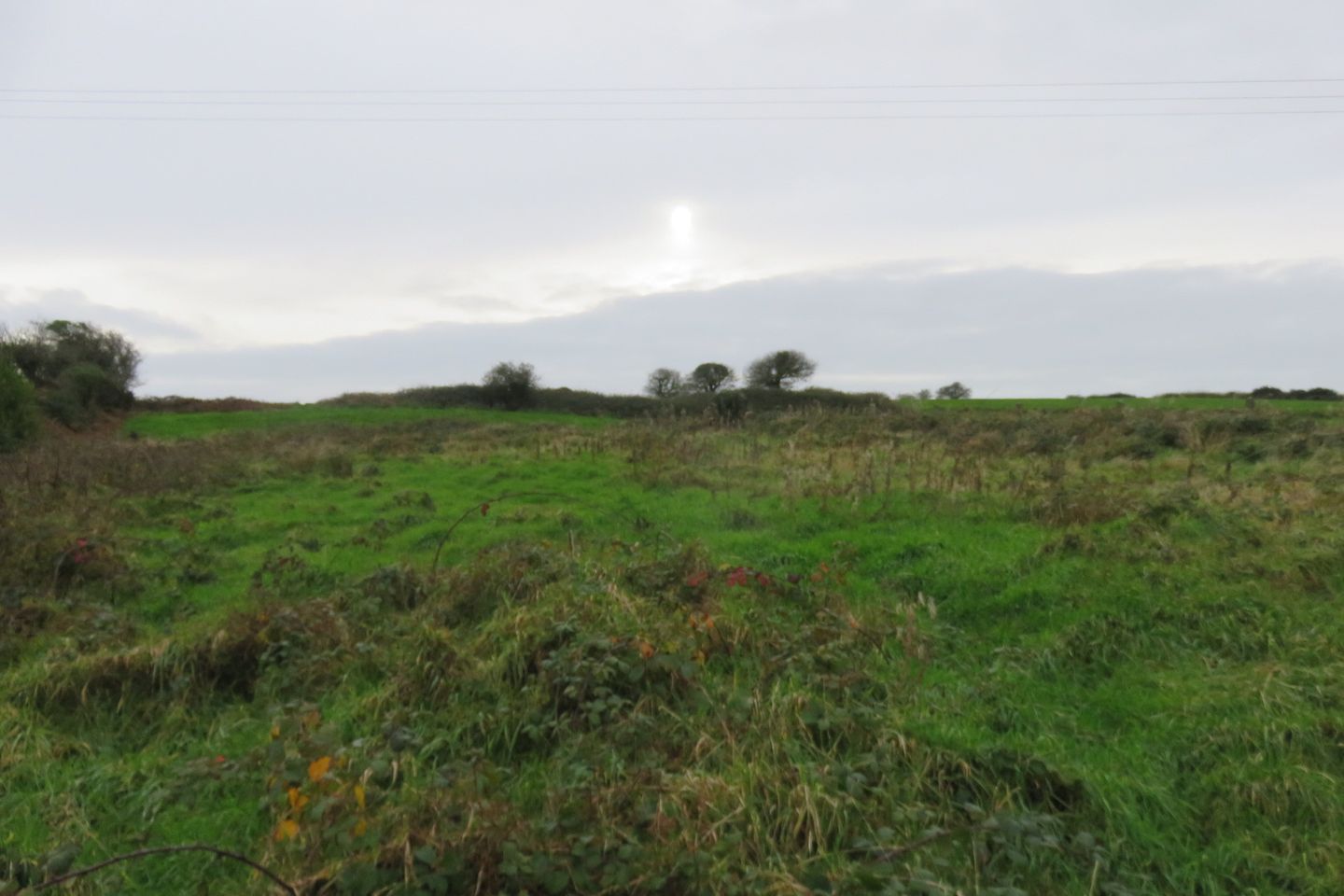 Cruary West, Darrara, Clonakilty, Co. Cork