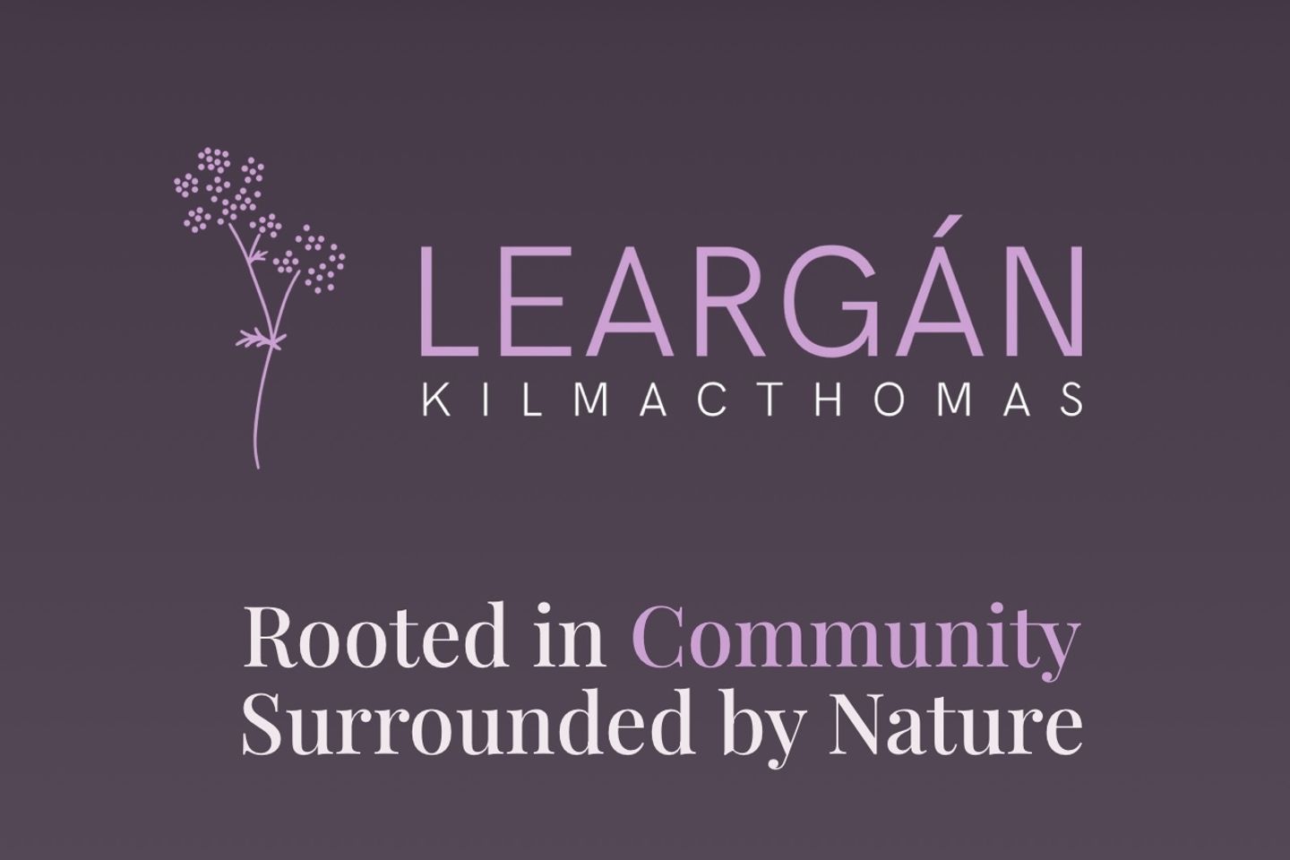 Leargán, Kilmacthomas , Waterford City, Co. Waterford