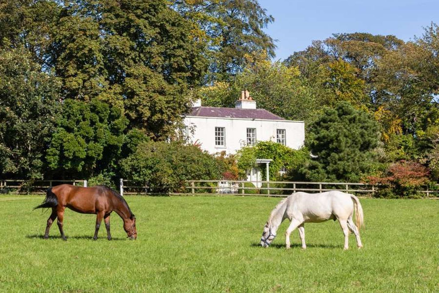 Ferndale House, Rathmichael - Residential Development Opportunity, 6.16 acres: Architect Feasibility, Rathmichael, Co. Dublin