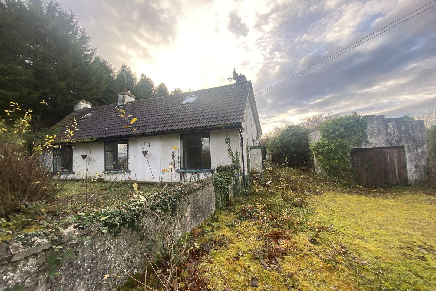 Lavally, Mallow, Co. Cork, P51EDV2