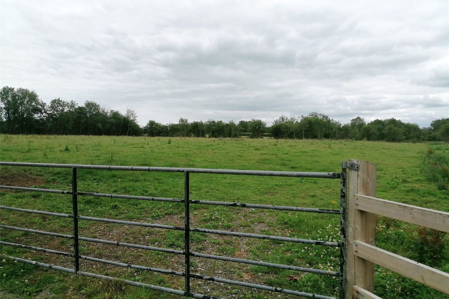 1 Acre Site, Kilkea, Ballyvass, Co. Kildare