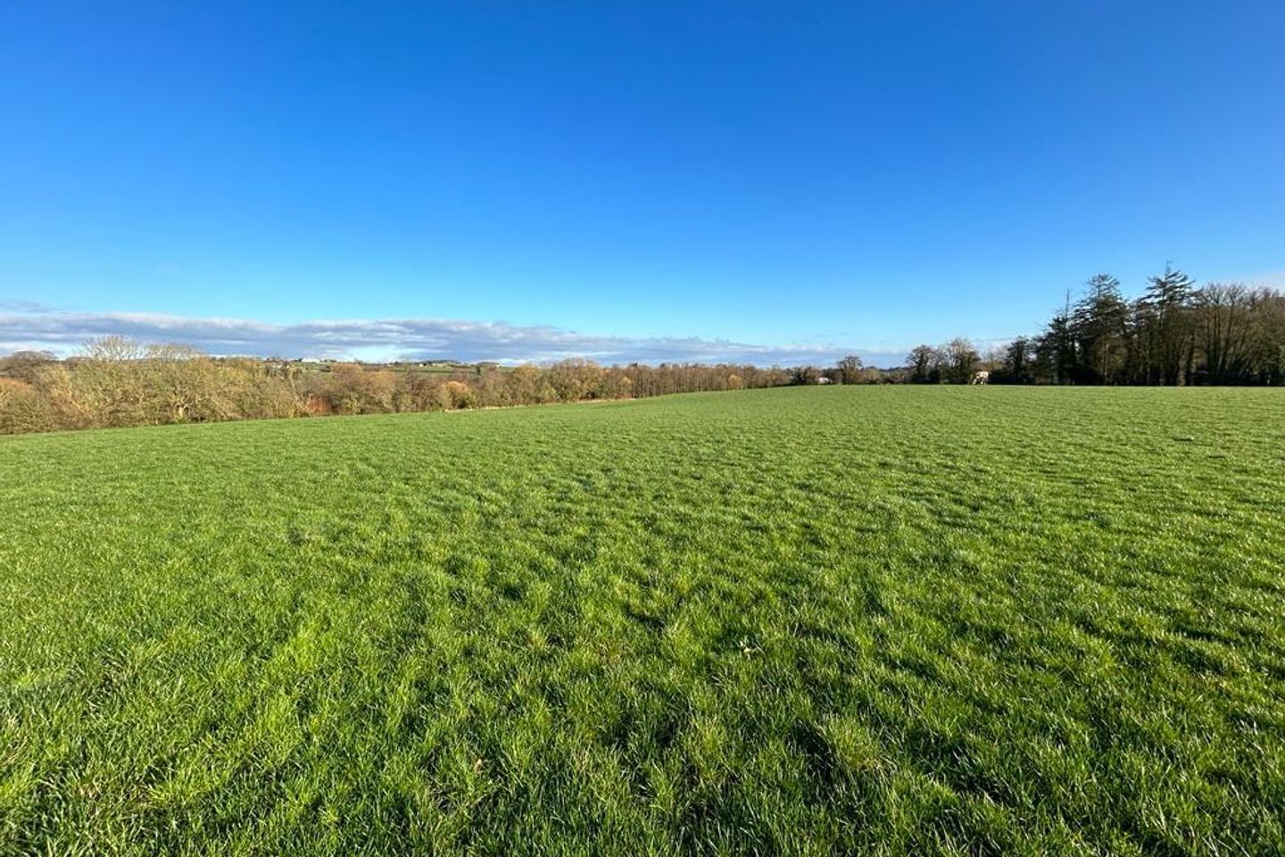 Commercial property for sale in Inchakevin, Castletownroche