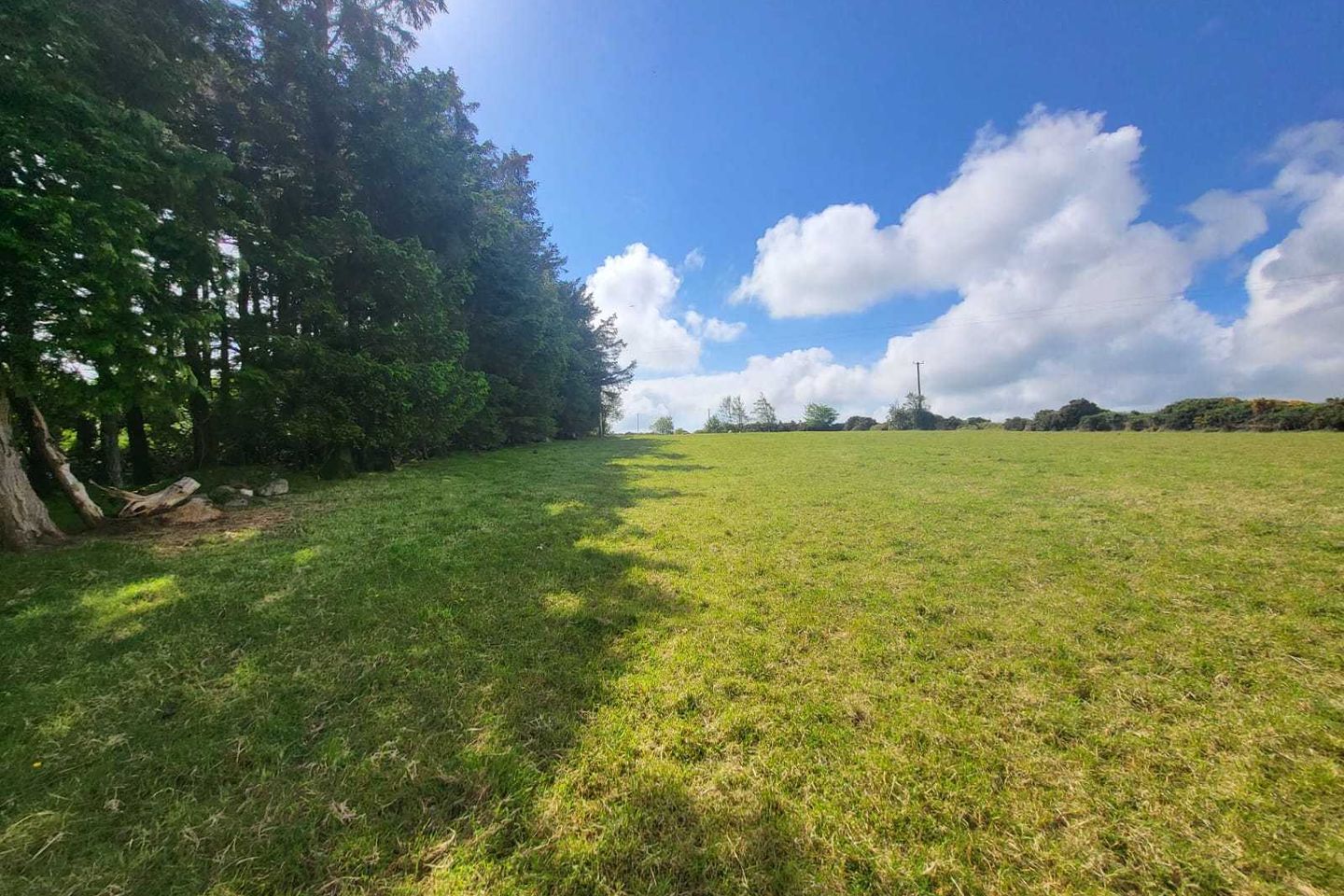 Commercial property for sale in Killeagh, Aughrim, Co. Wicklow