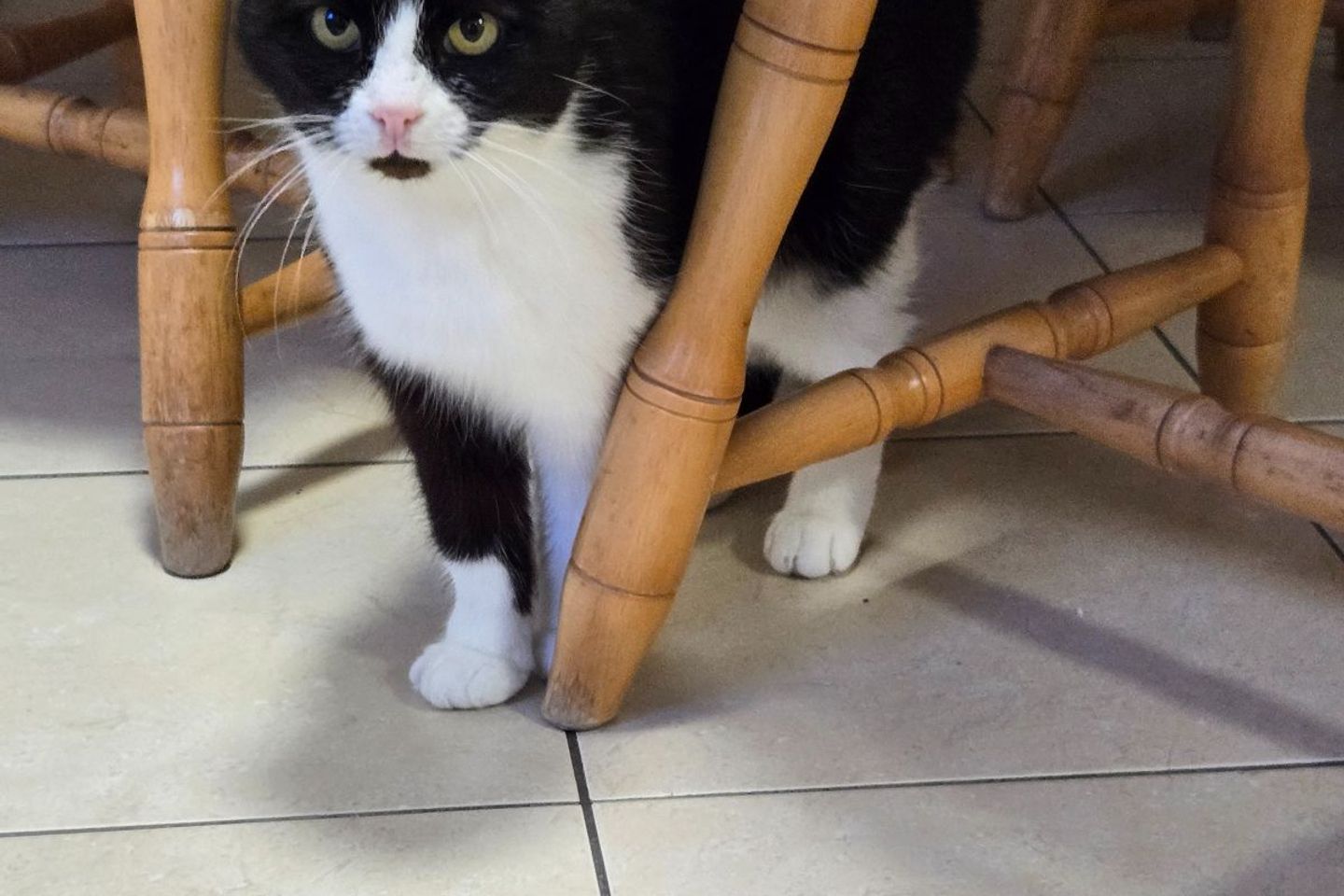 Castlegrange,Waterford, Waterford City Centre