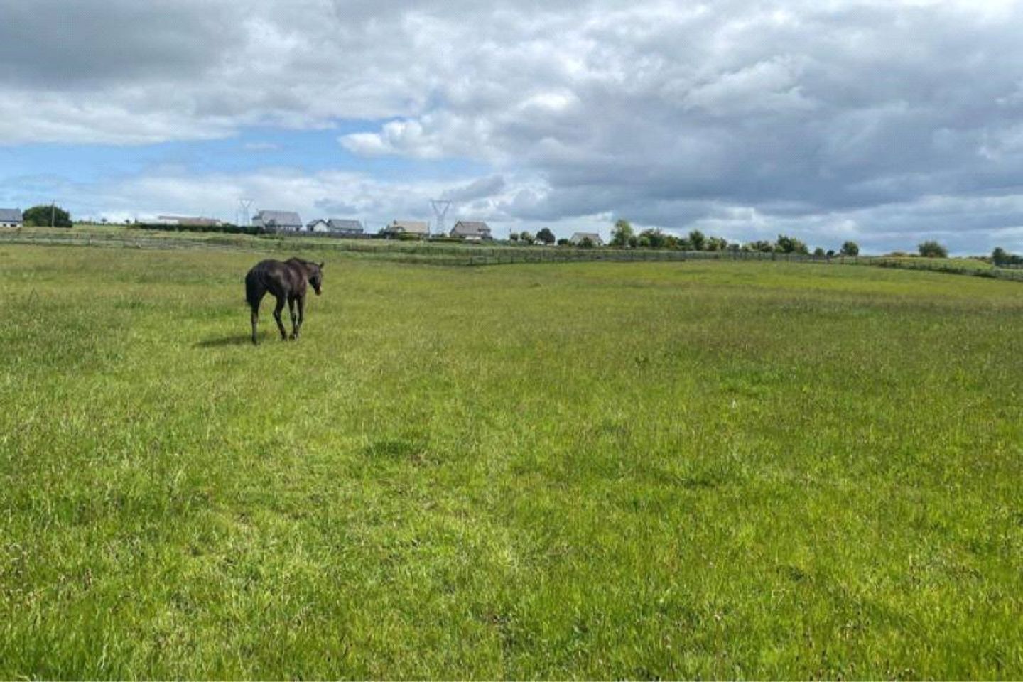 Mirah, Turloughmore, Co. Galway