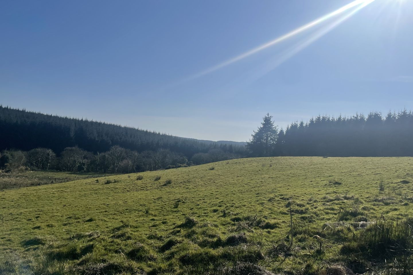 Inchadrinagh, Newport, Co. Tipperary