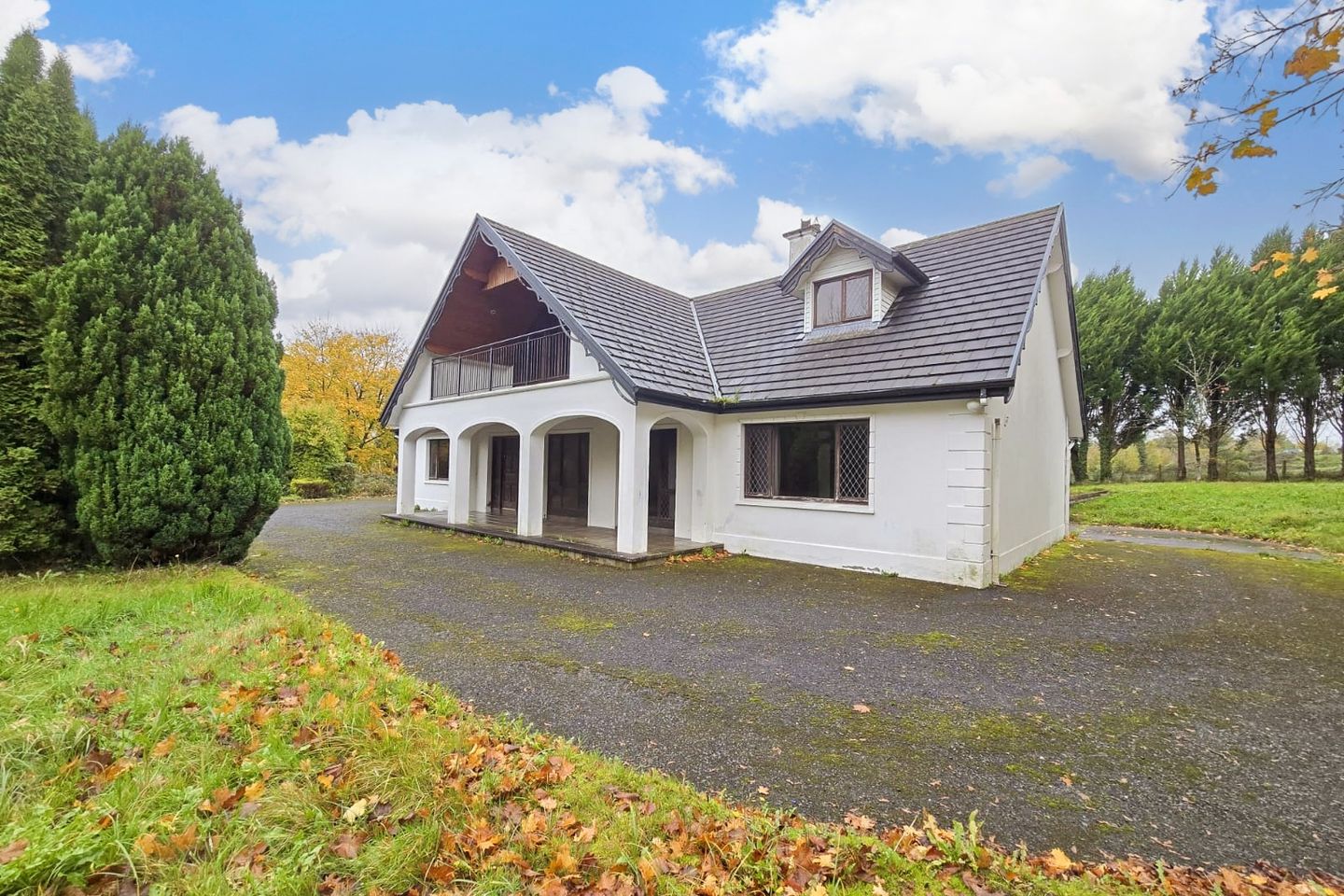 Carson, Dartrey, Cootehill, Co. Monaghan, H16NT38