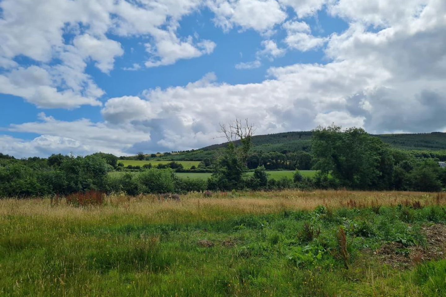 Ballinteskin, New Ross, Co. Wexford is for sale on Daft.ie