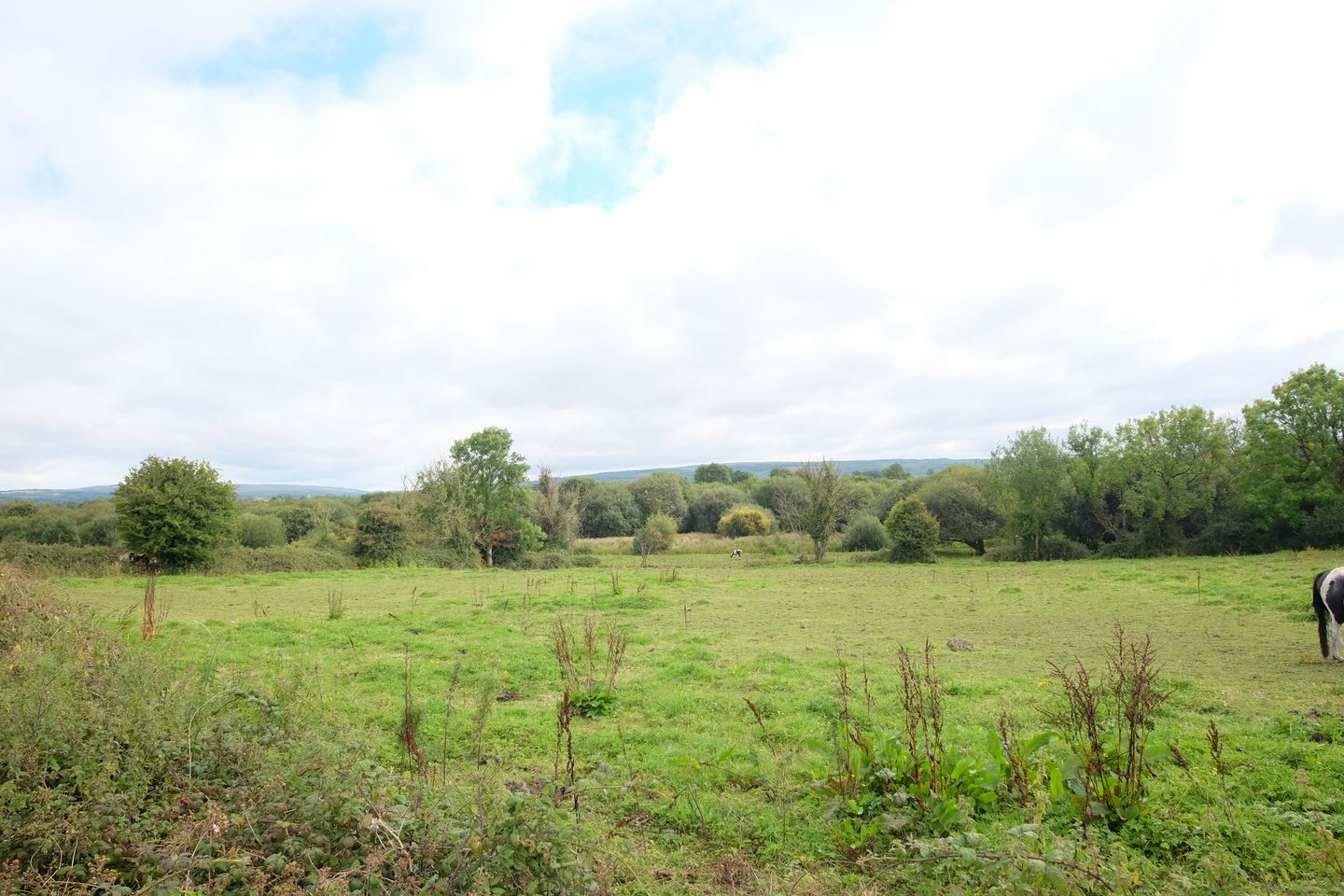 Streamstown, Peterswell, Co. Galway