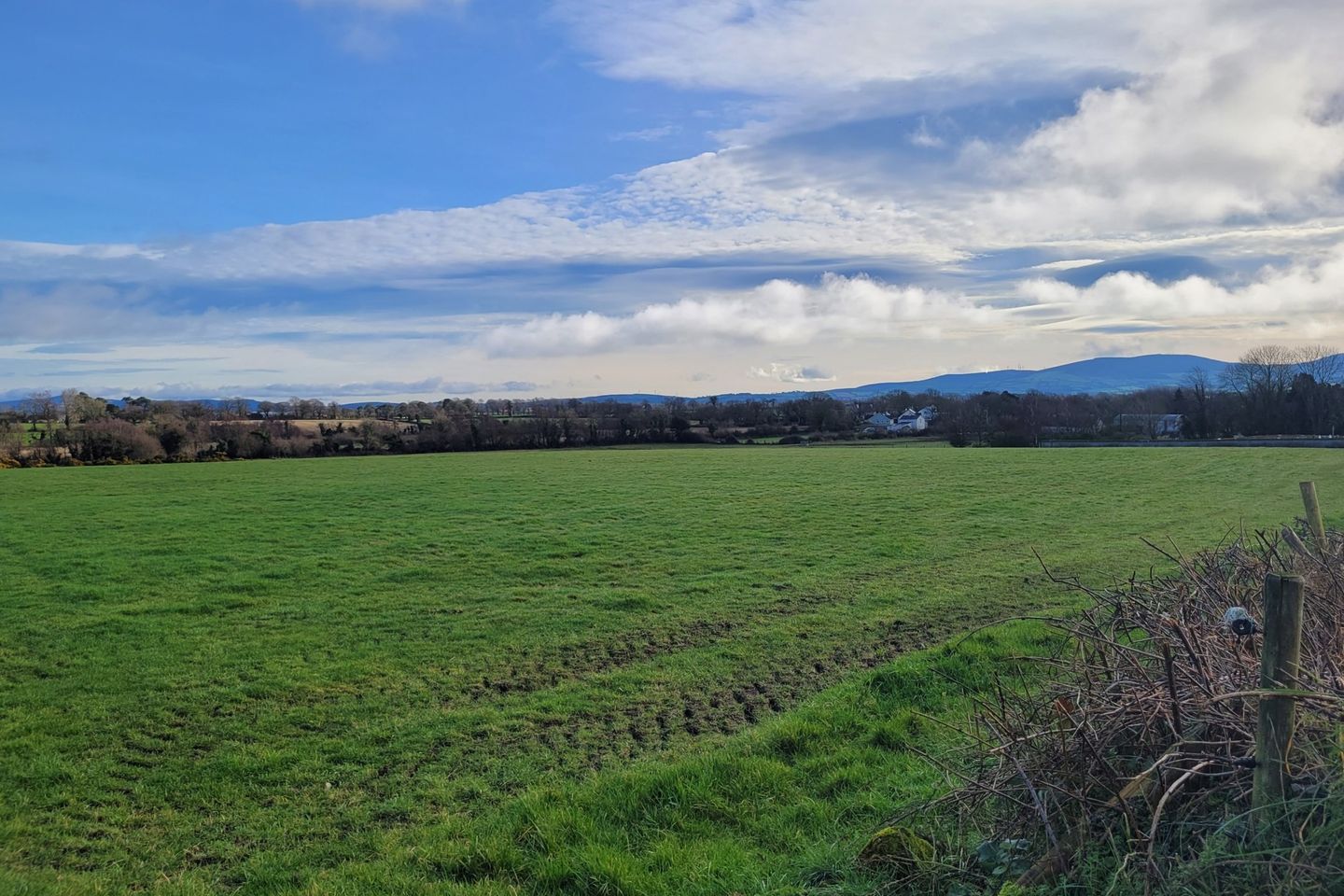 .50 Acre Site Newtown, Fenagh, Co. Carlow