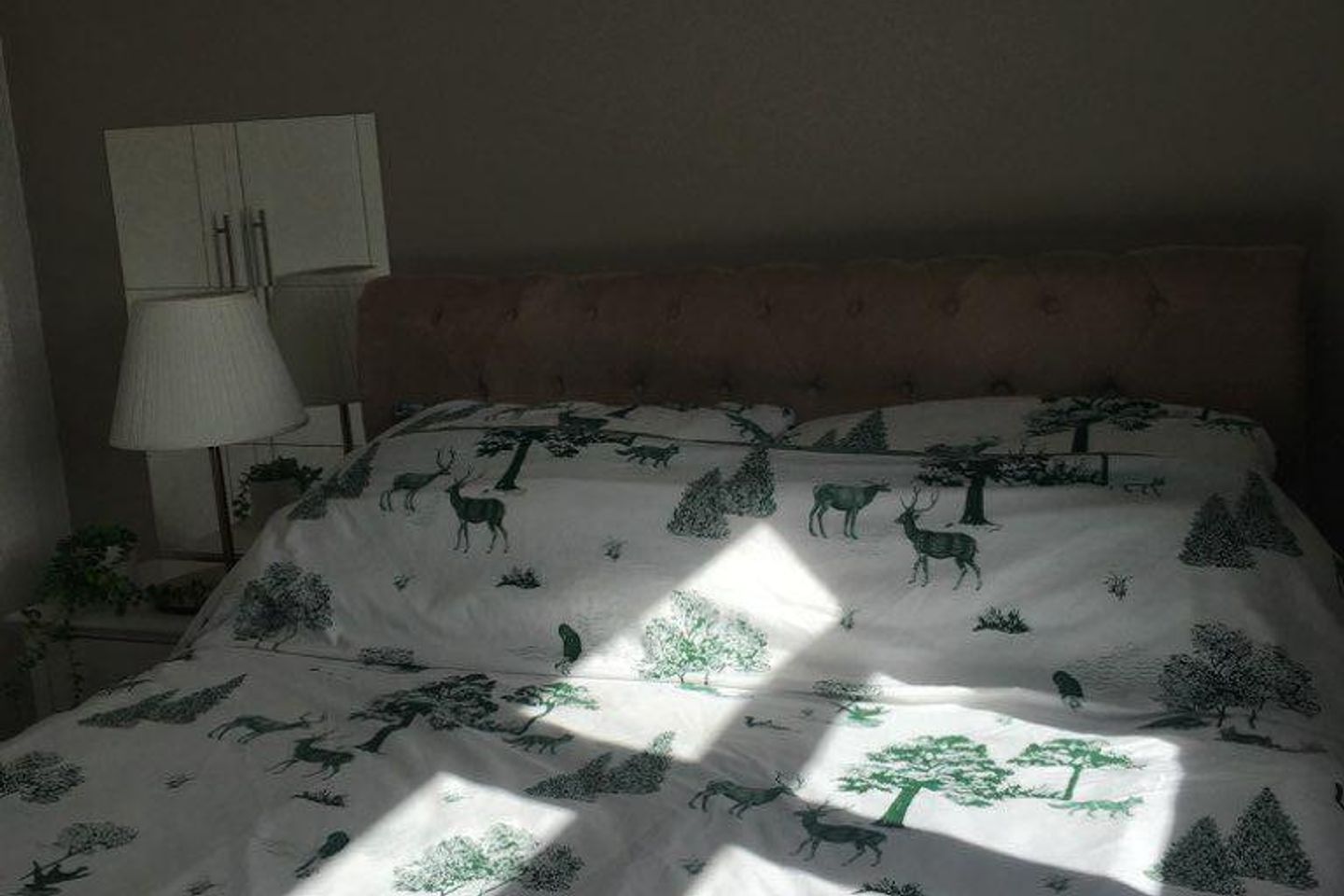 Selskar Rise, Skerries, Co. Dublin