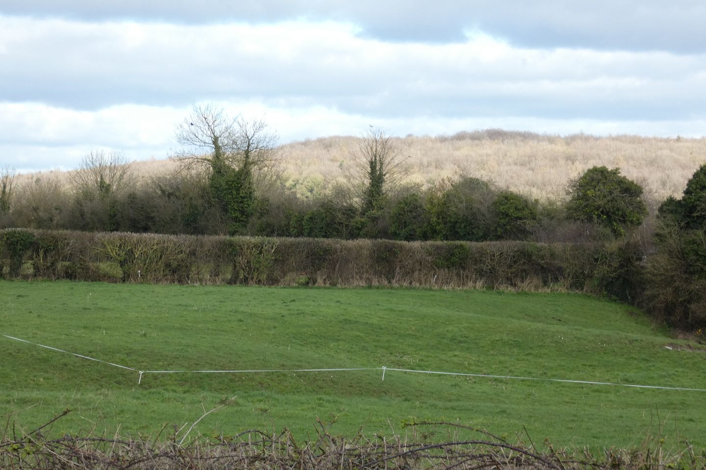 Commercial property for sale in Kilbride, Portarlington, Co. Laois