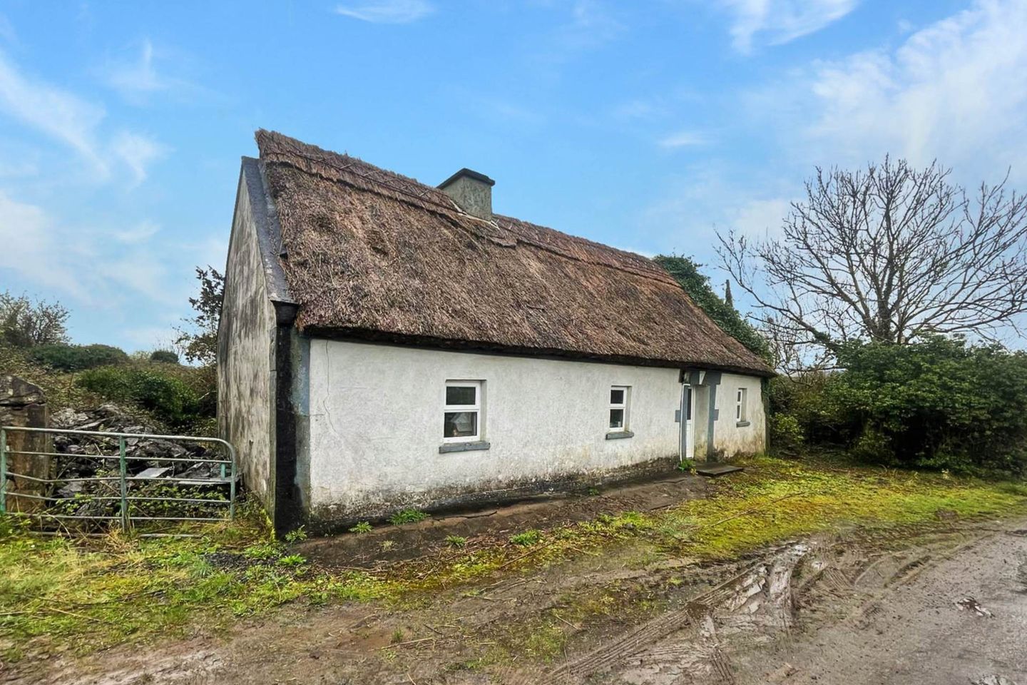 Fiddaun, Gort, Co. Galway, H91HR64