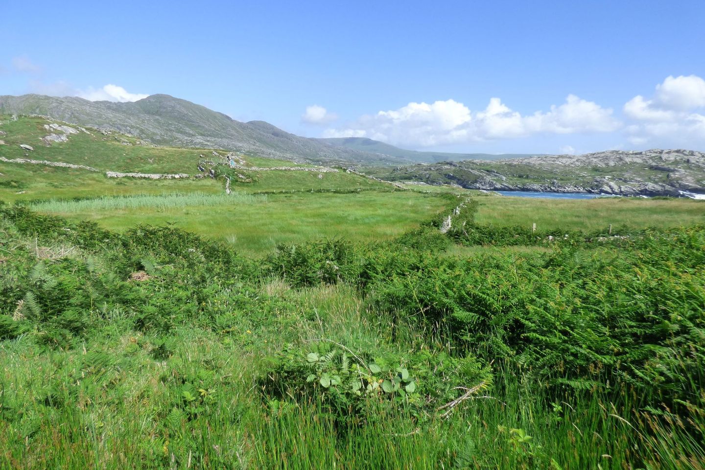 Commercial property for sale in Reentrisk, Allihies, Co. Cork