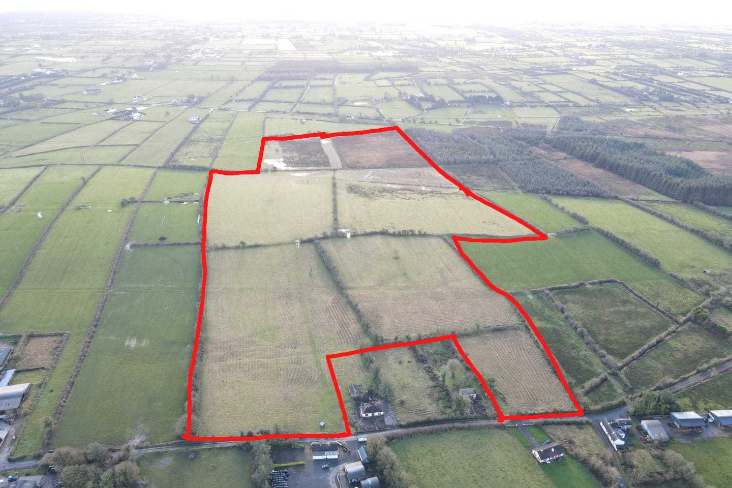 C.50 acres of good quality lands in one lot at Callow, Frenchpark, Co. Roscommon