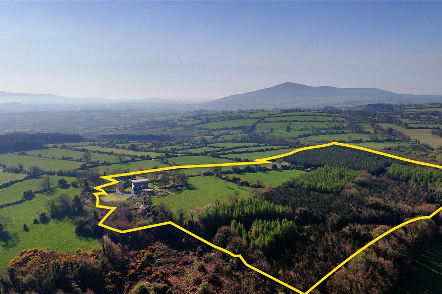 Mount Coggill, Griffinstown, Borris, Co. Kilkenny, R95V8F7