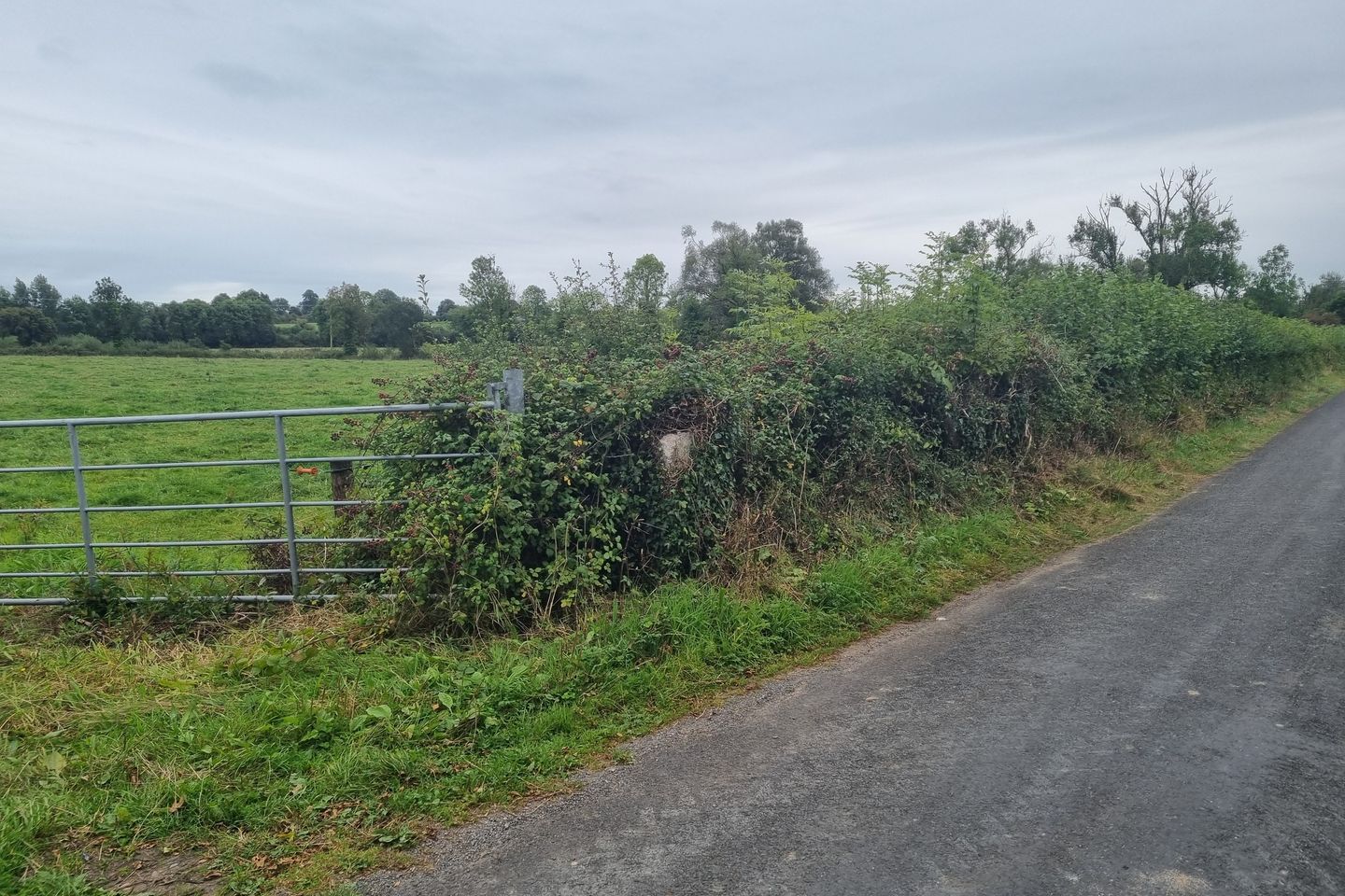 Coolistigue Site 3, Clonlara, Co. Clare