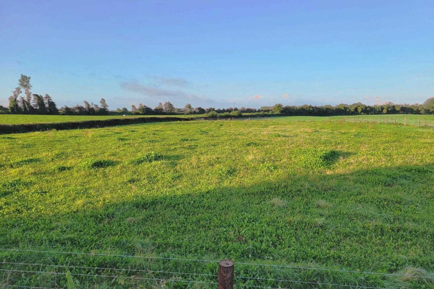 Cloneyquin, Portarlington, Co. Offaly is for sale on Daft.ie