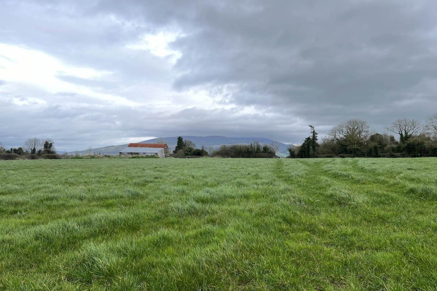 Commercial property for sale in Shanbally, Lisronagh, Clonmel, Co