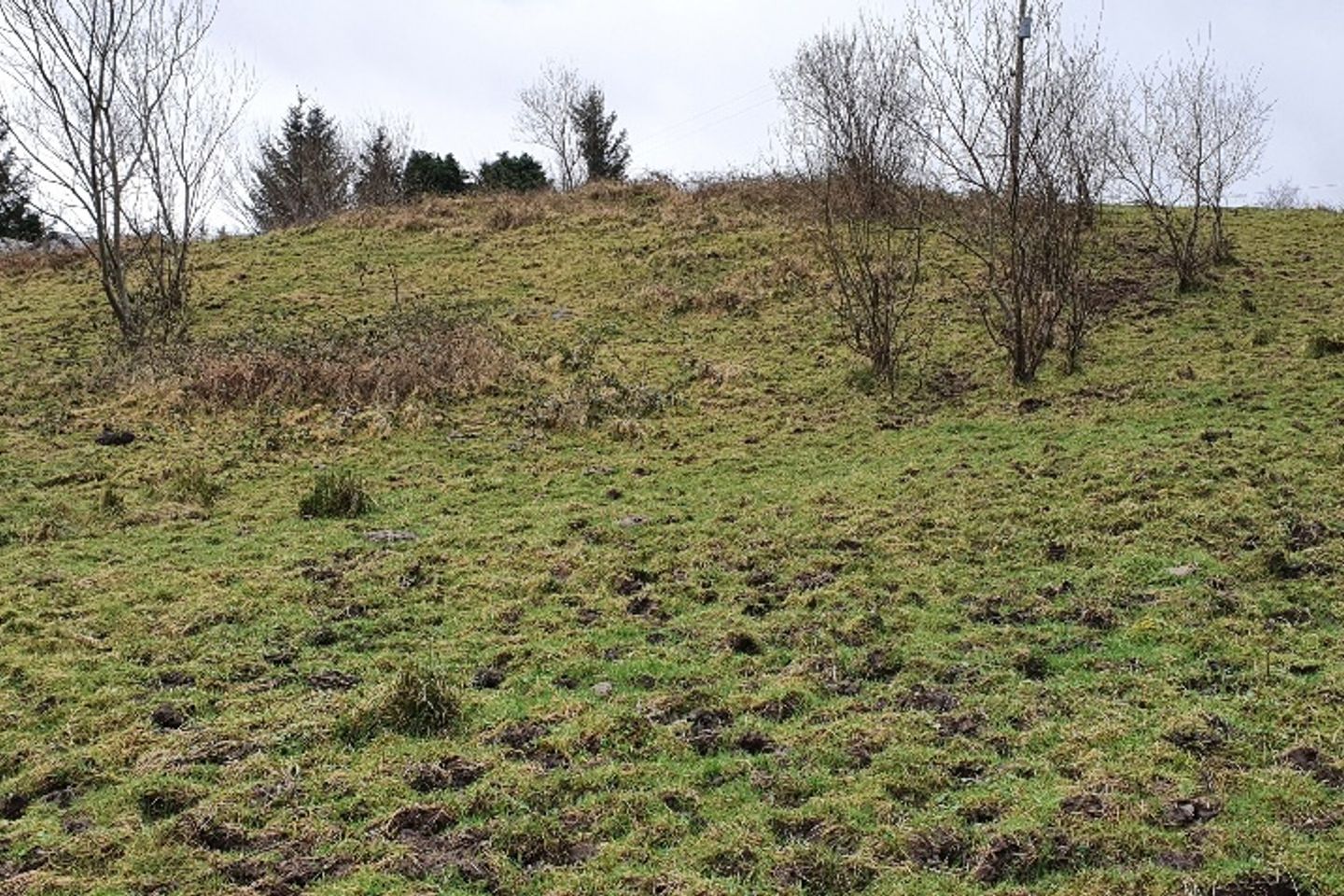 Knappagh Beg, Westport, Co. Mayo is for sale on Daft.ie