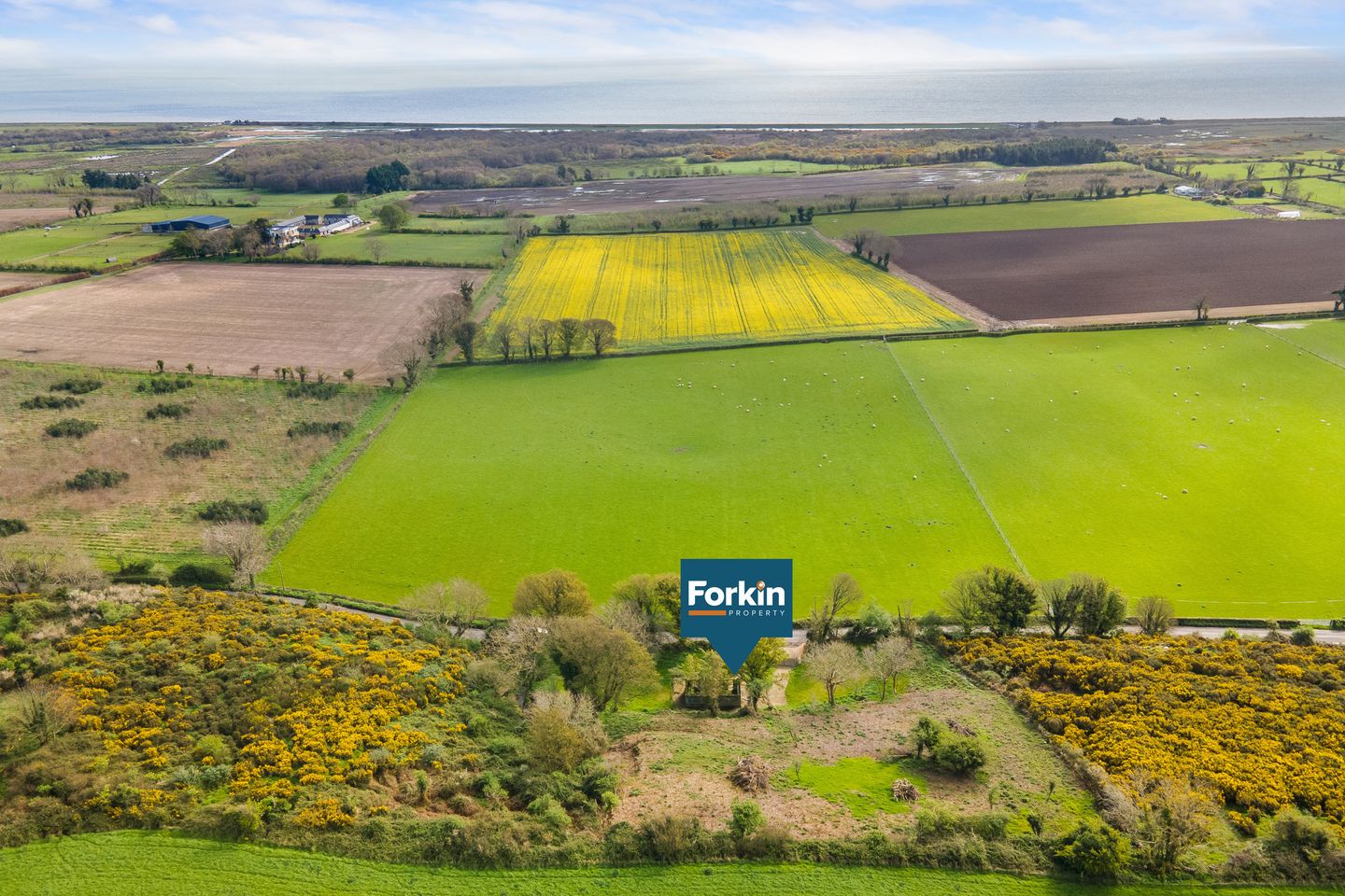 Betty's Cottage, Black Ditch, Newcastle, Co. Wicklow is for sale on Daft.ie