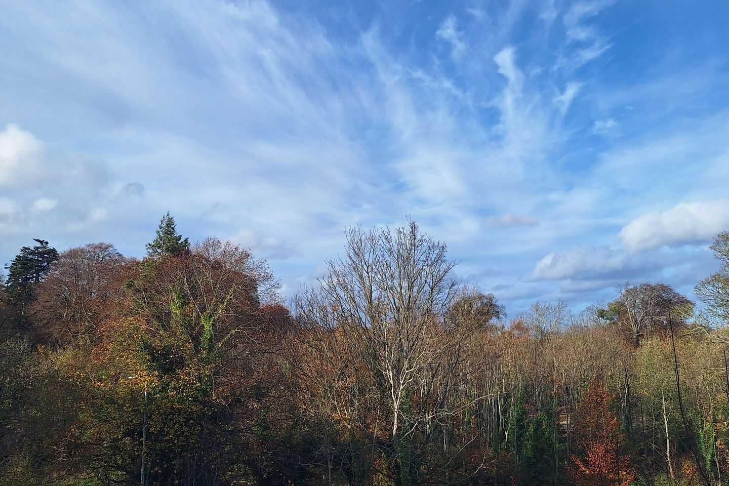 Taylors Hill, Dublin 16, Ballinteer, Dublin 16