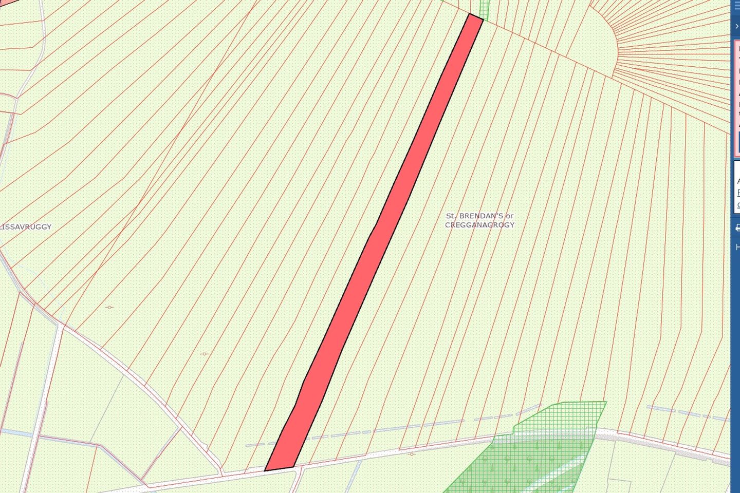 3.45 Acres of Bog at Lissavruggy, Newbridge, Ballygar, Co. Galway