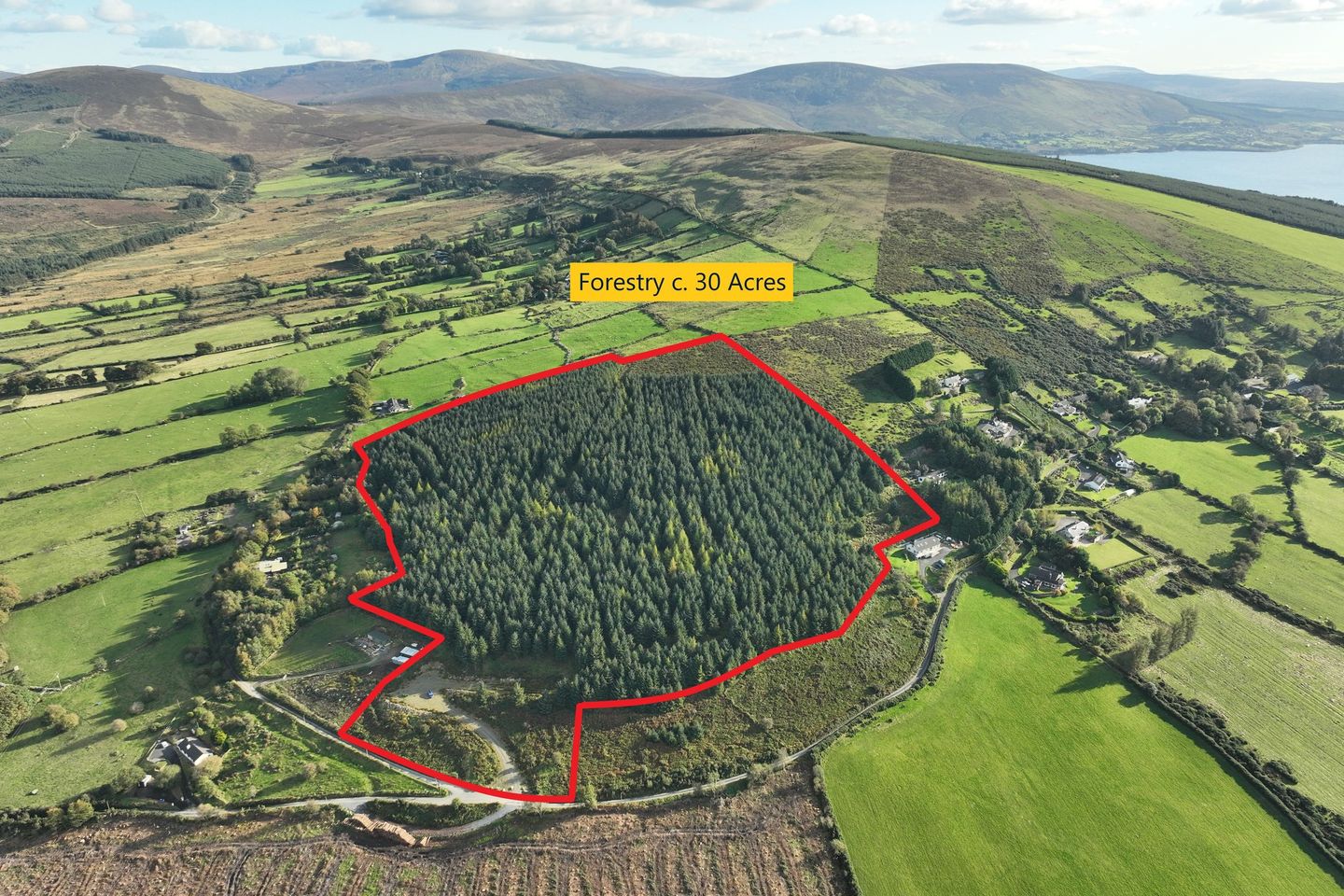 Commercial property for sale in Forestry Land c. 30 Acres / 12.14 HA