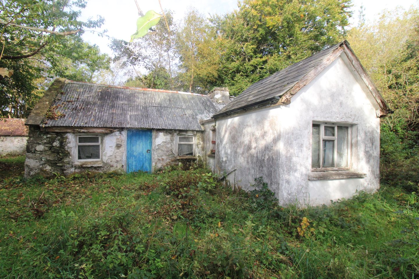 Massbrook Lower, Bofeenaun, Co. Mayo