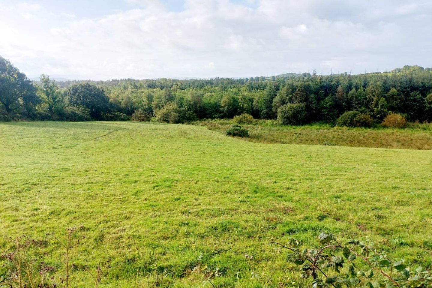 Ayle, Feakle, Co. Clare