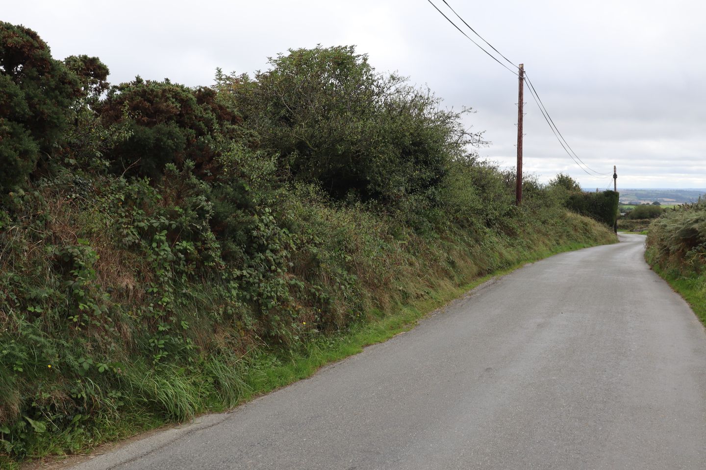 Commercial property for sale in Brownstown, Monasterboice, Drogheda, Co