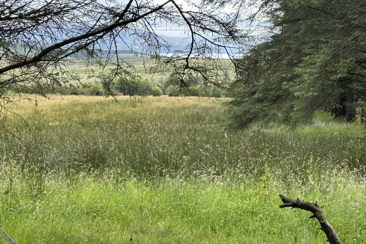 Commercial property for sale in Meentaghconlan, Kerrykeel, Co. Donegal