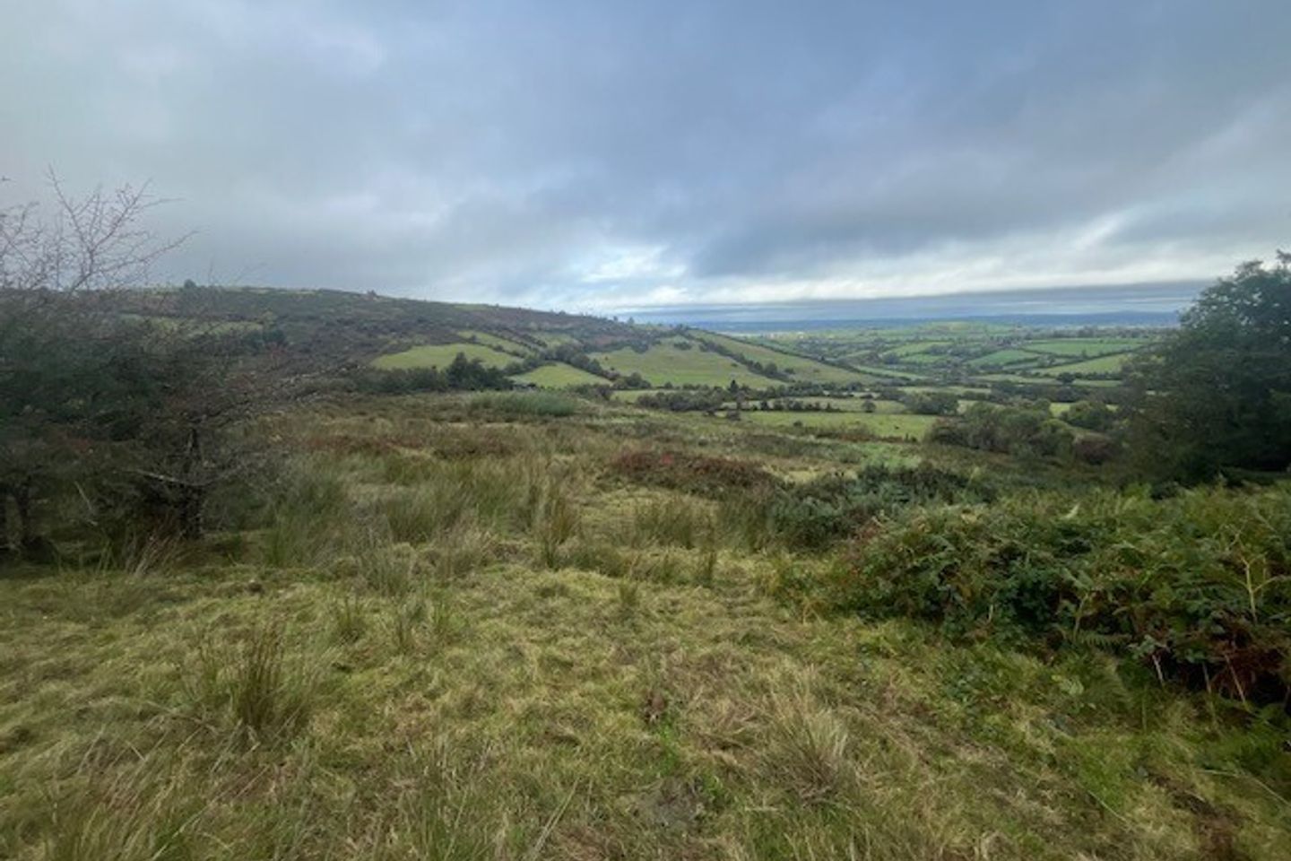 Bollingbrook, Dolla, Nenagh, Co. Tipperary