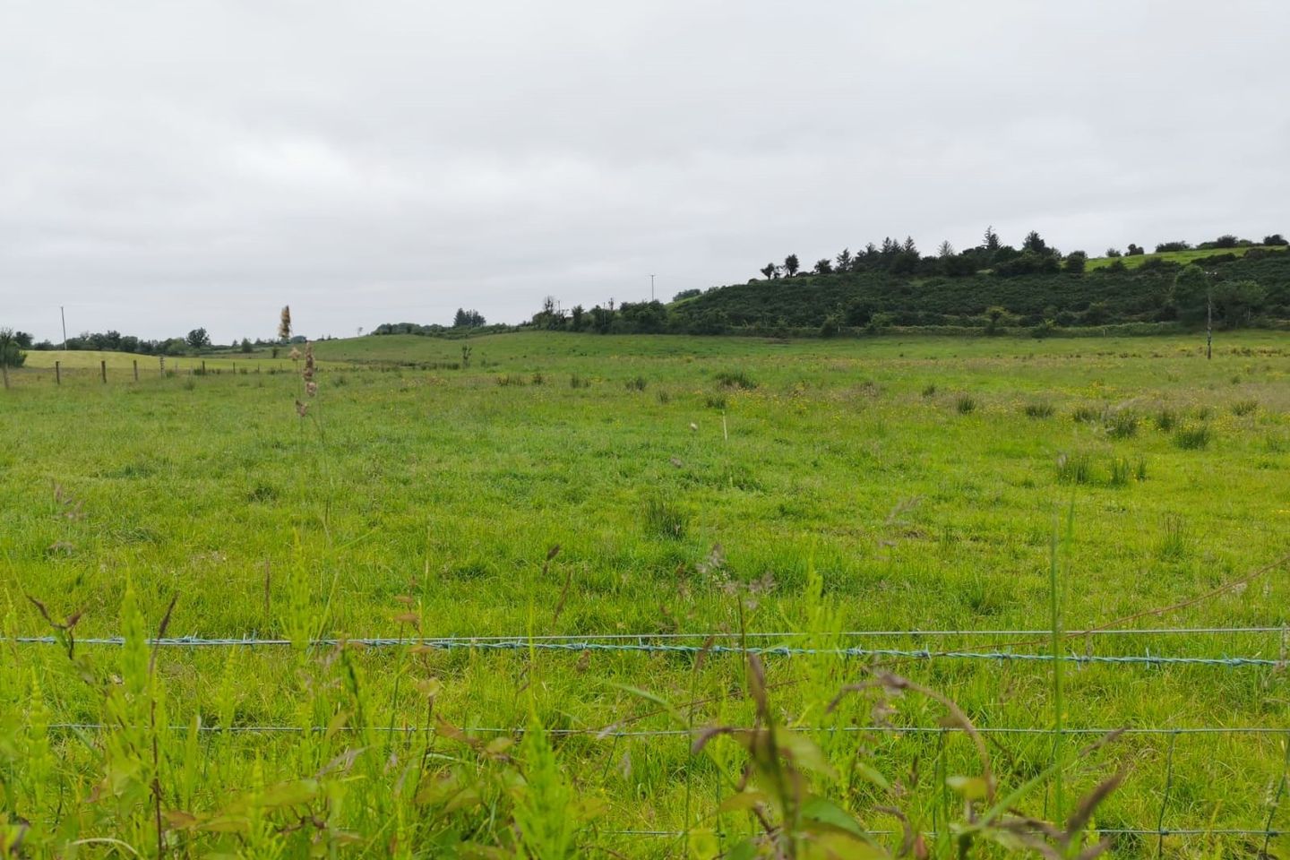 Ballinacostello, Aghamore, Co. Mayo is for sale on Daft.ie