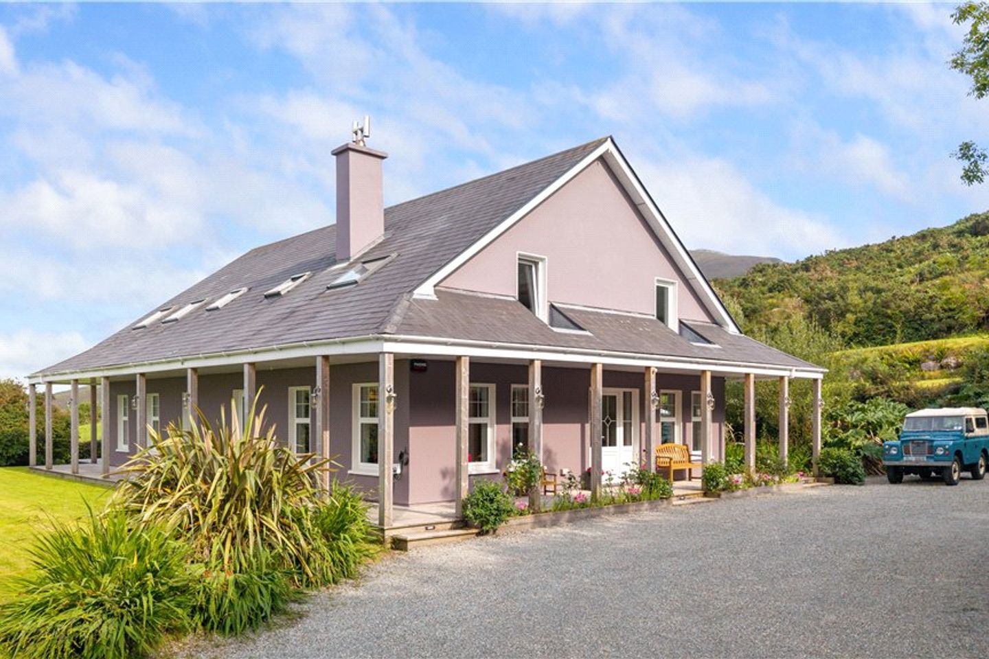 Alder, Dunloe Upper, Beaufort, Killarney, Co. Kerry, V93NN84